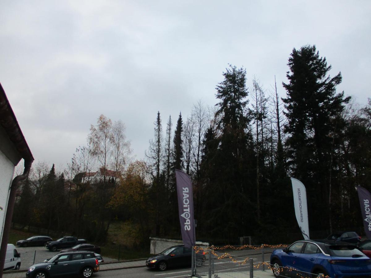 Parsberger 6 *